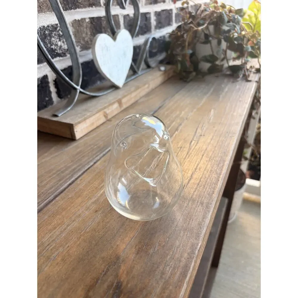Clear Glass Bird Terrarium Planter 5” Open Body Air Plant Succulent Vase